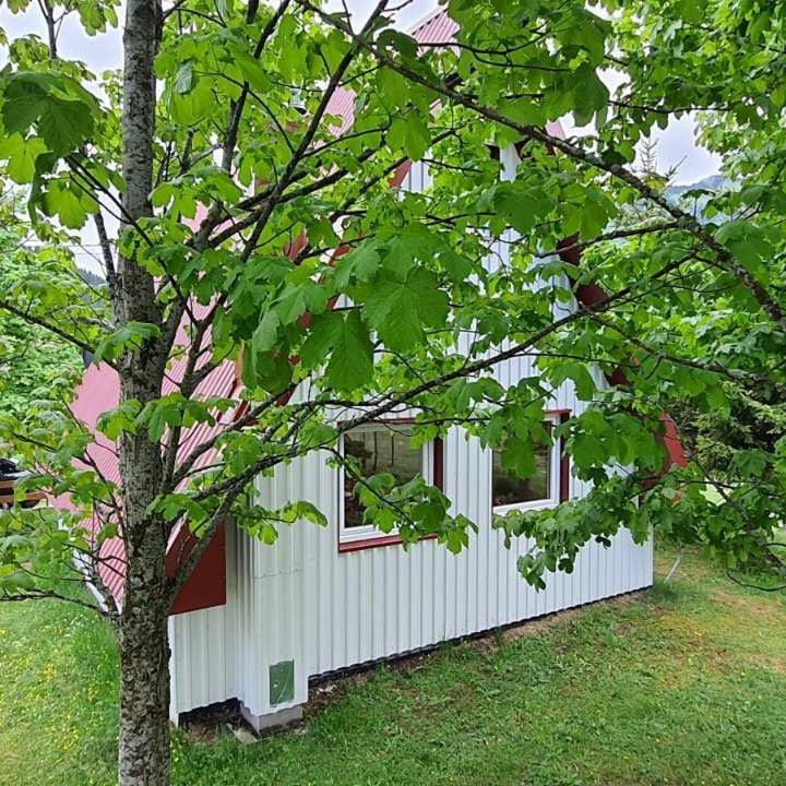 Vila Sarigora Žabljak Exterior foto